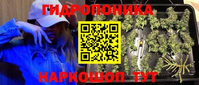 эйфоретик Кунгур