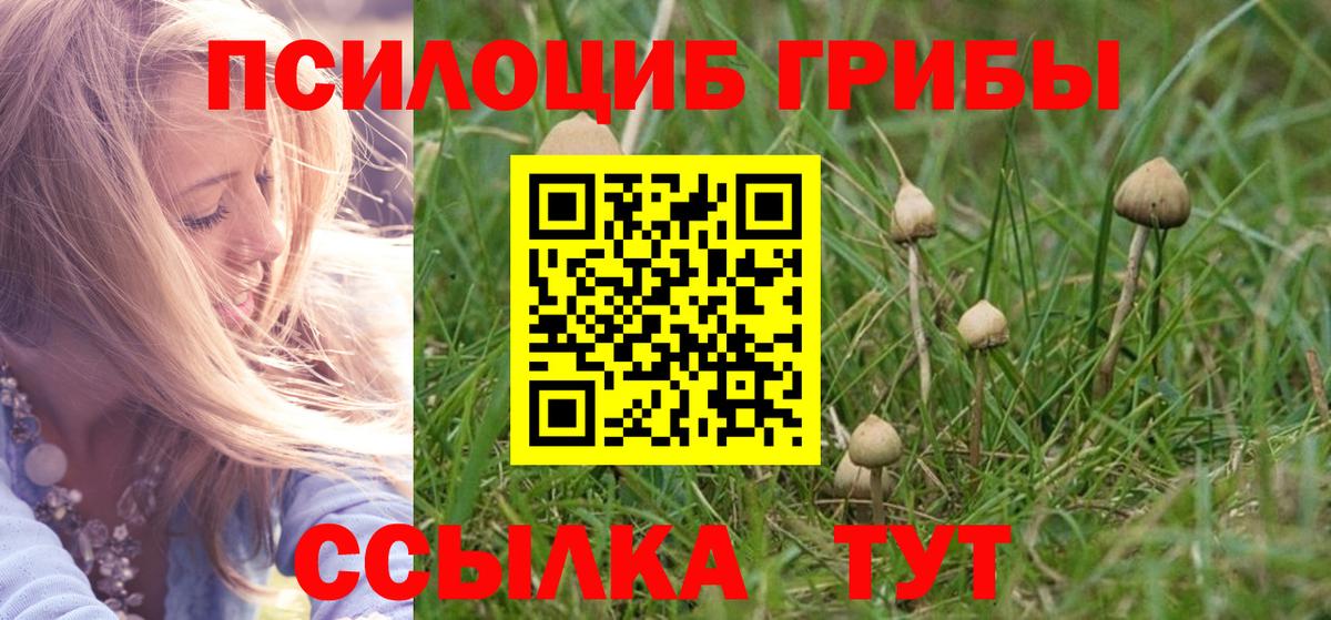 Галлюциногенные грибы GOLDEN TEACHER Казань