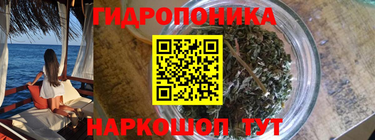 Бошки Шишки марихуана  Шишки марихуана планчик  Вход с VPN  Бошки Шишки гибрид  Казань 